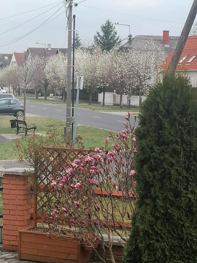 Marina-Buek Apartmanhaz Exteriör bild